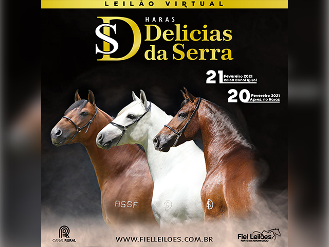 Leilao-Virtual-Haras-Delicias-da-Serra-21.02