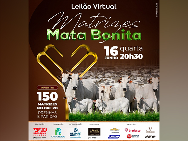 16_06MATABONITA