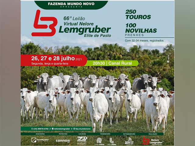 LEMGRUBER