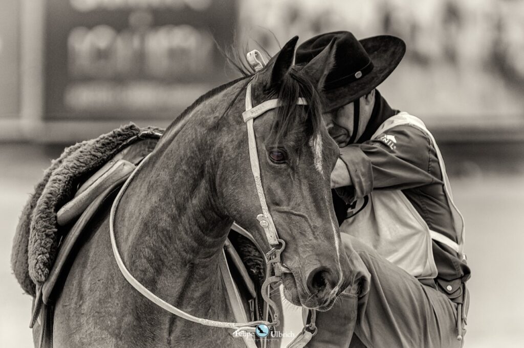 Lance Rural transmite o Cavalo Crioulo na EXPOINTER ao vivo e