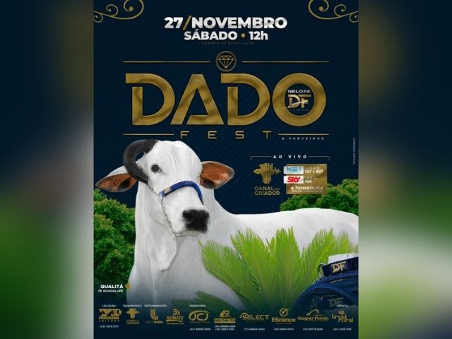 Design-sem-nome-3-1 Design-sem-nome-3-1