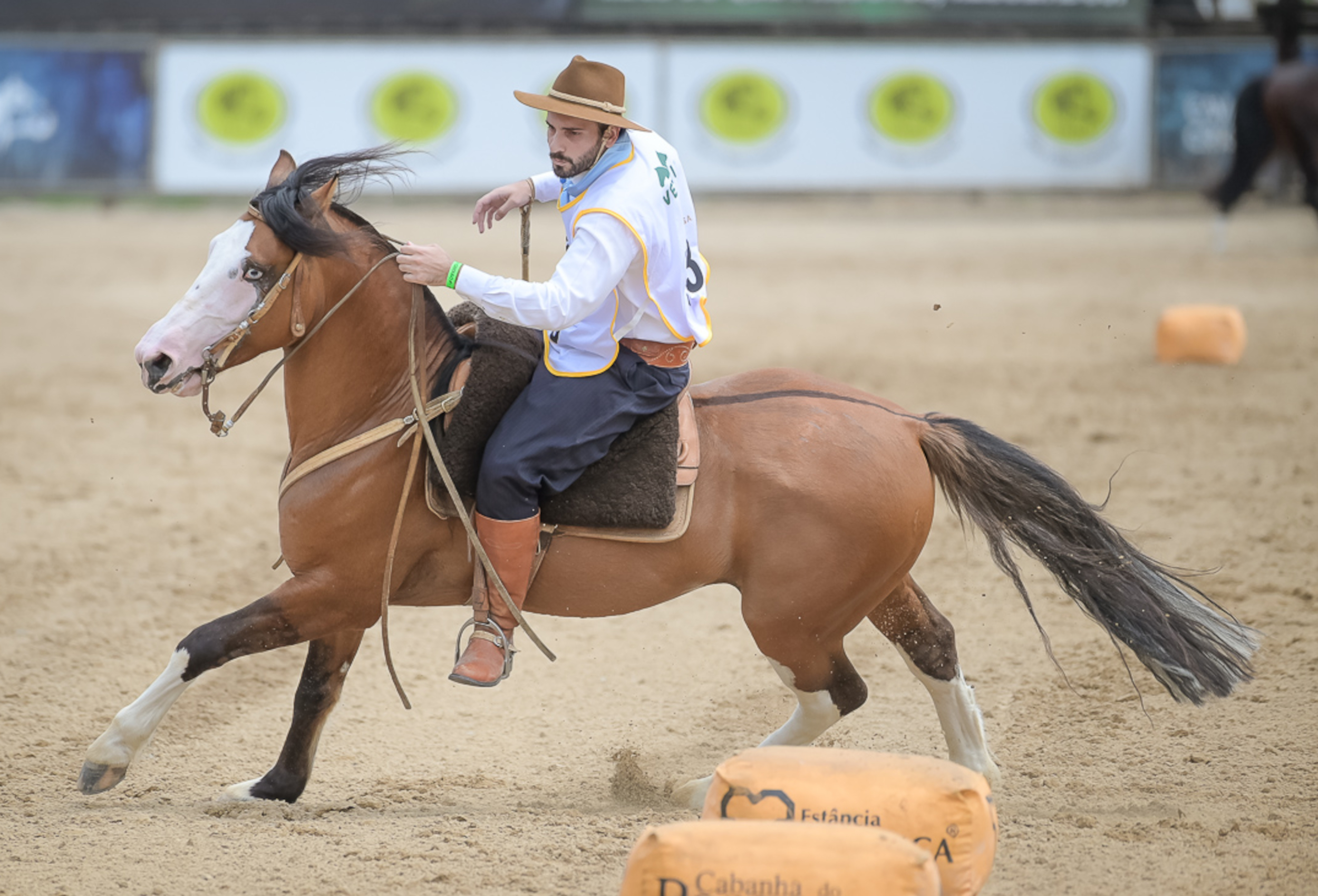 Lance Rural transmite o Cavalo Crioulo na EXPOINTER ao vivo e