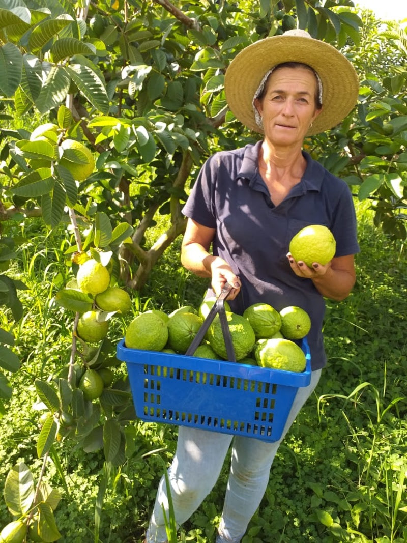 Angela Montico Prisco, agricultora desde os 15 anos. 