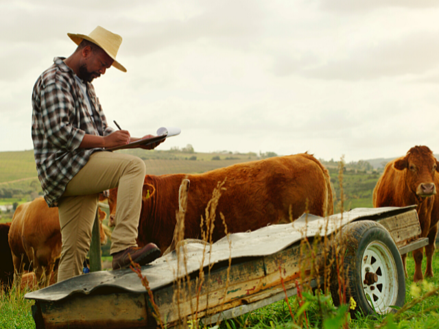 Tudo sobre Lance Rural