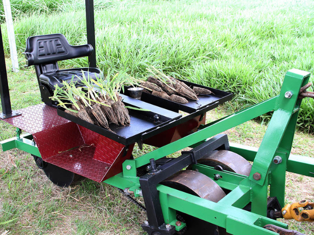 Plantadeira de mudas de forrageiras aumenta a produtividade do trabalho em até oito vezes