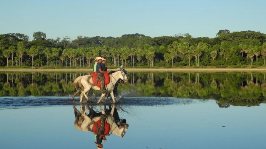 Nova Lei do Pantanal prevê uso racional da água e revisão do CAR 