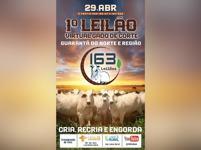 1° Leilão Virtual Gado de Corte – 163 Leilões