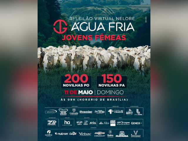 3° Leilão Virtual Nelore Água Fria Jovens Fêmeas