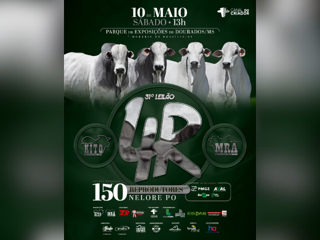 31° Leilão 4R Reprodutores PO – Nelore Kito e Nelore MRA
