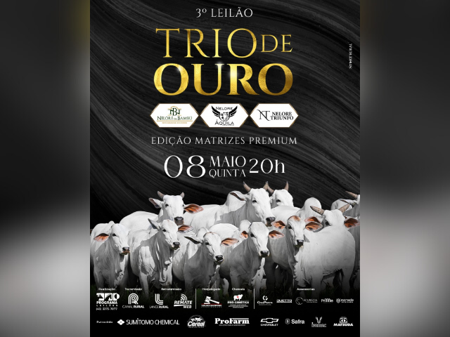 3º Leilão Trio de Ouro