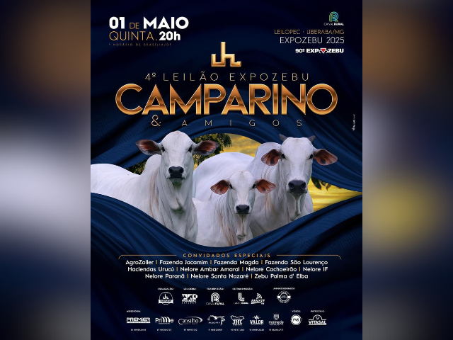 4° Leilão Expozebu Camparino & Amigos