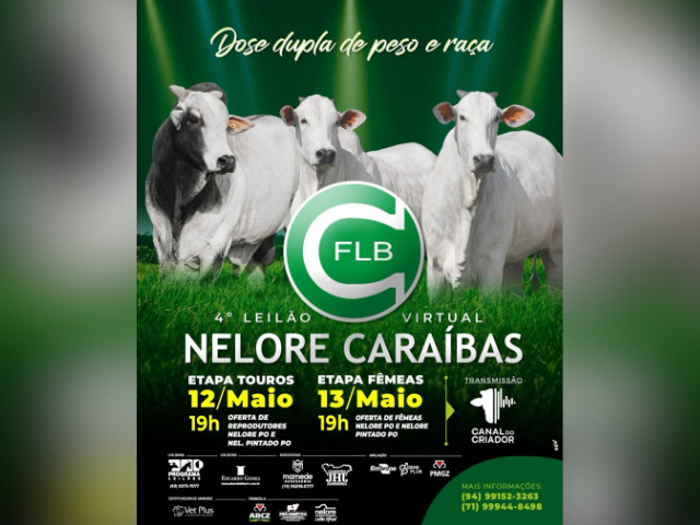 4º Leilão Virtual Nelore Caraíbas – Etapa Touros