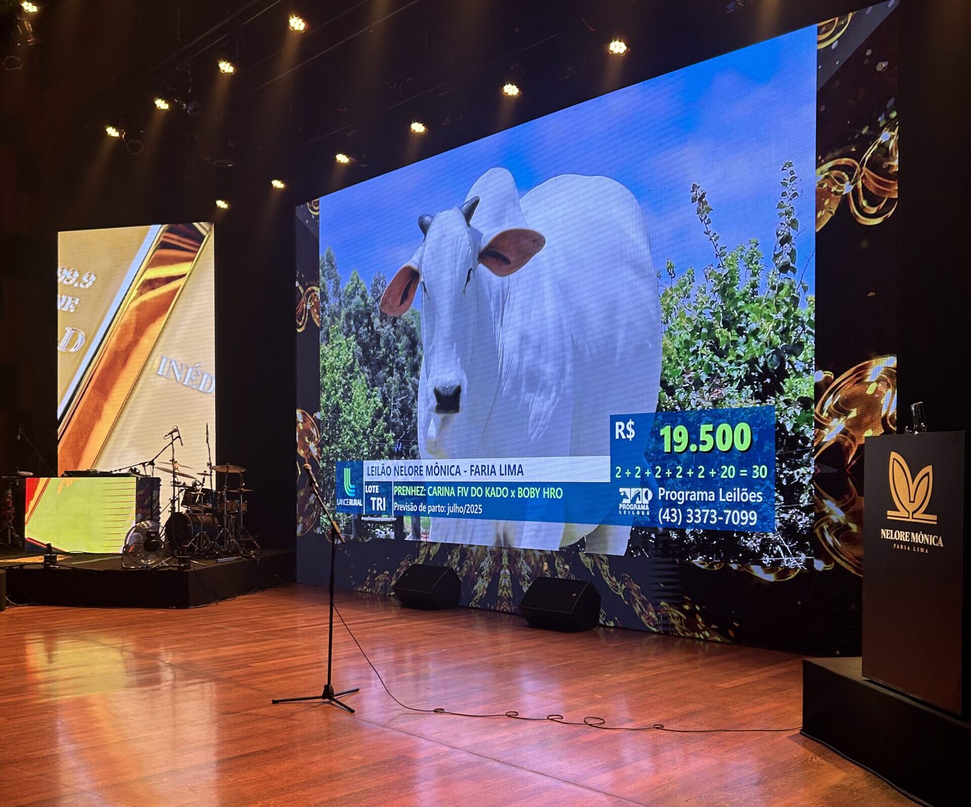 Canal Rural reforça estratégia na TV para transmissão de leilões Canal Rural reforça estratégia na TV para transmissão de leilões