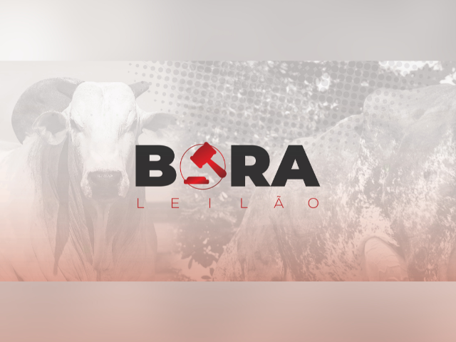 Bora Leilão – Expozebu
