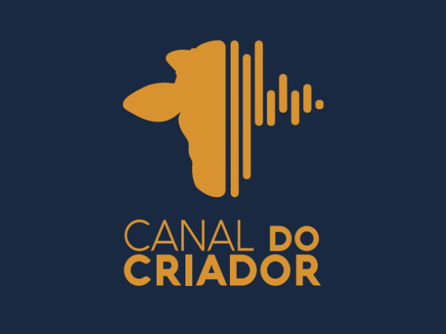 Cuiabá Leilões