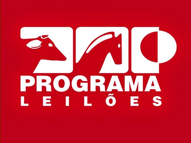 Leilão AReal e Convidados