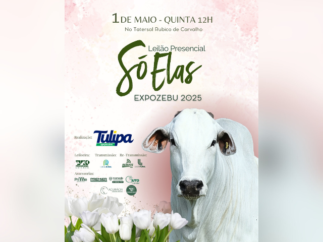 Leilão Só Elas – Tulipa Agropecuária Expozebu 2025