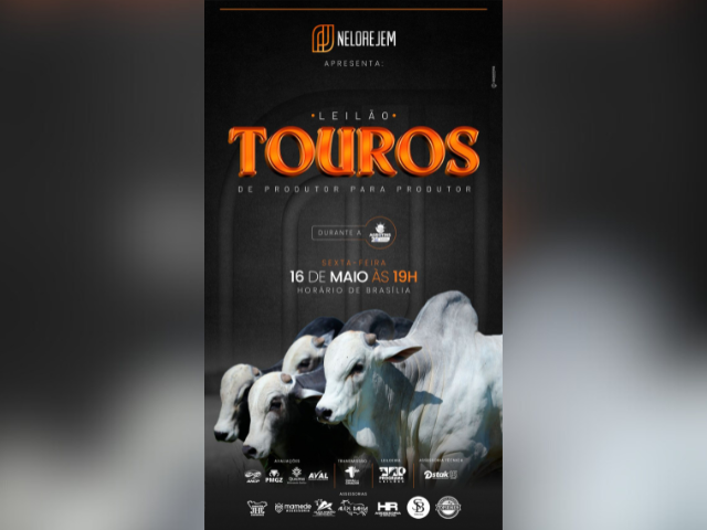 Leilão Touros de Produtor para Produtor Nelore JEM