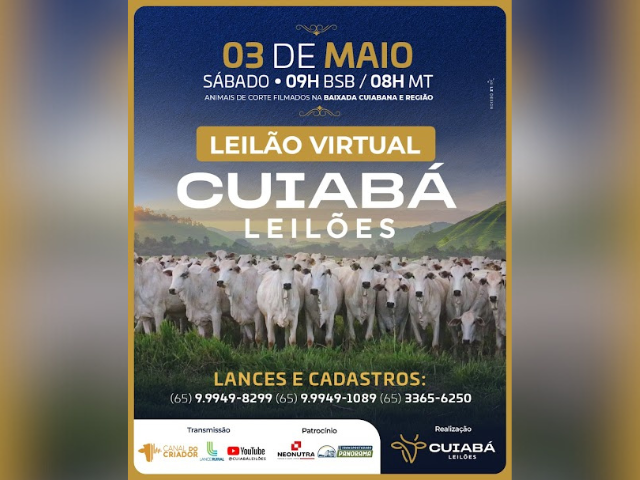 Leilão Virtual Cuiabá Leilões