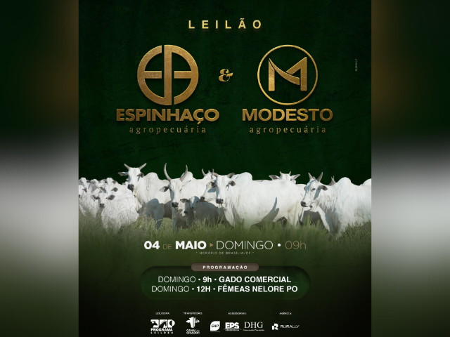 Leilão Virtual Espinhaço & Modesto