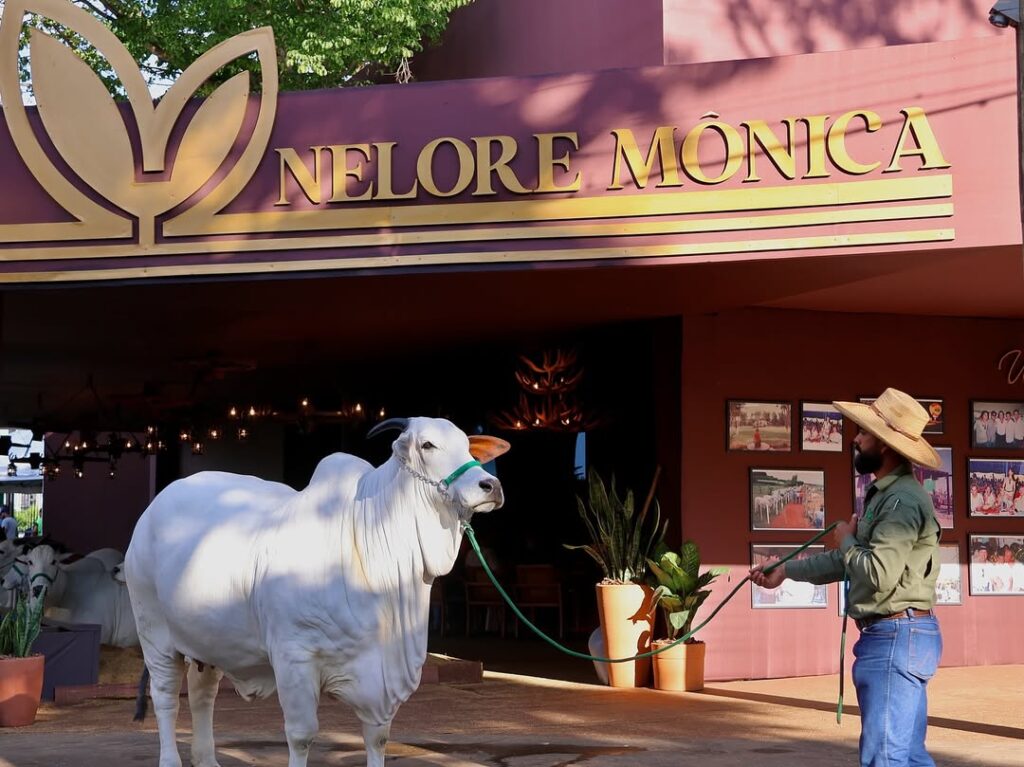 DHELI FIV EL TREBOL durante o Shopping do Grupo Nelore Mônica, realizado na ExpoZebu 2025
