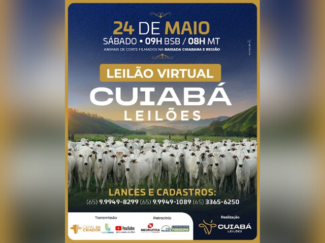 Leilão Cuiabá Leilões