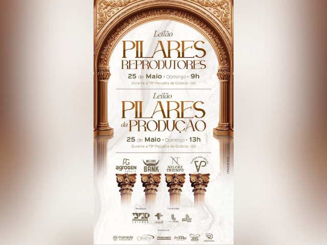 Leilão Pilares Reprodutores e Produção