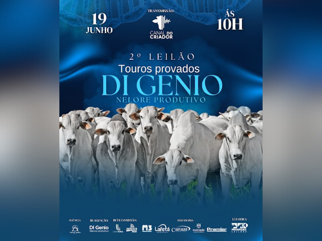 2° Leilão Touros Provados Di Gênio Nelore Produtivo