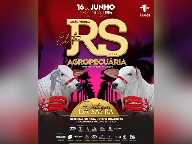 Leilão Virtual Elite RS Agropecuária 2025