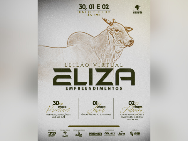 Leilão Virtual Eliza Empreendimentos – Etapa Premium