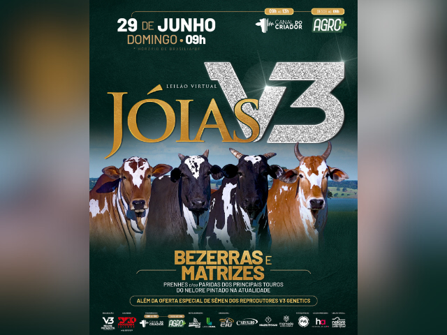Leilão Virtual Jóias V3 &#8211; Bezerras e Matrizes